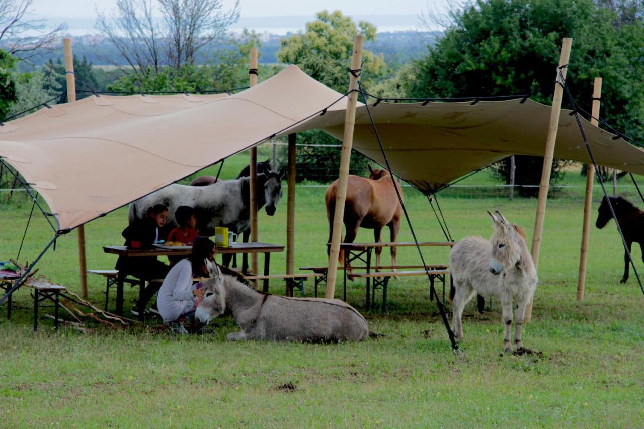 Dharma Horse Shelter Bungalows & Farmping Siófok Exteriör bild